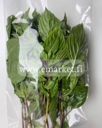 Holy Basil 100g